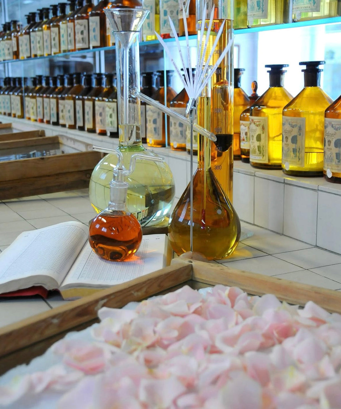 Pourquoi éviter les CMR et les phtalates